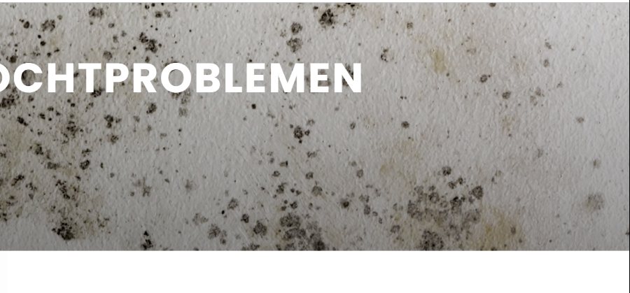 Project 10: Vochtbestrijding